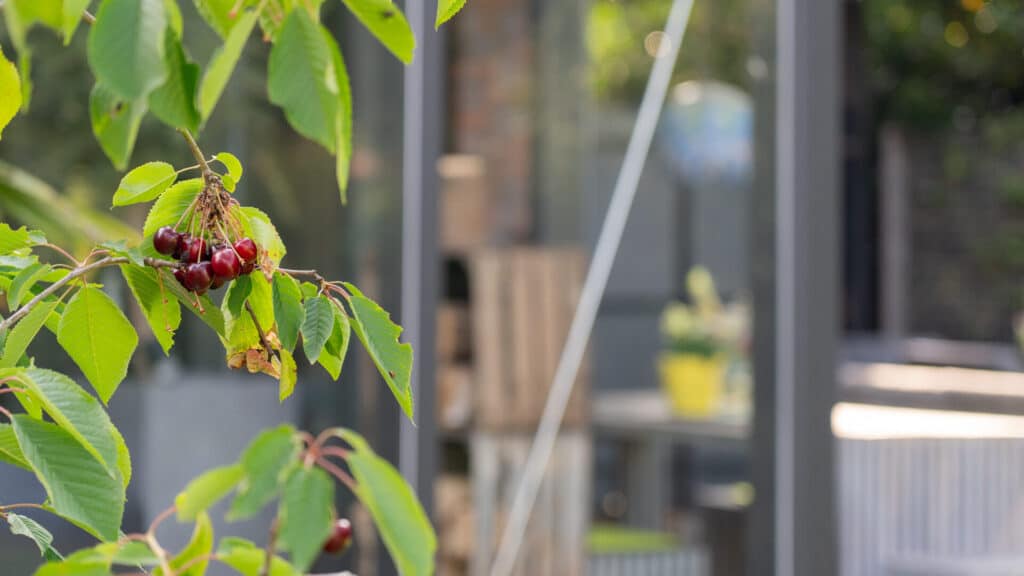 Wintergarten-Anbau-22